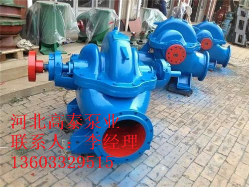 28SA-10A單級(jí)雙吸離心泵